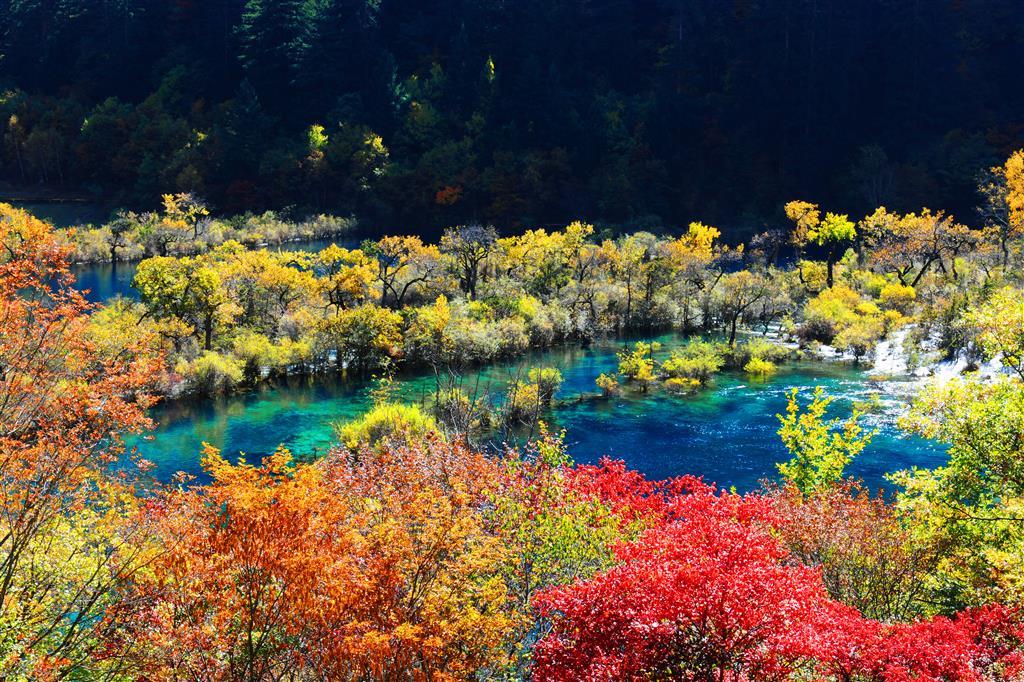 Sheraton Jiuzhaigou Resort 设施 照片