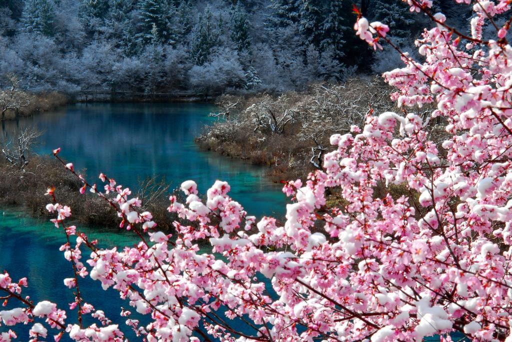 Sheraton Jiuzhaigou Resort 外观 照片